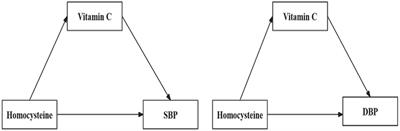 Association between homocysteine and blood pressure in the NHANES 2003–2006: the mediating role of Vitamin C